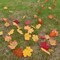 600PCS Artificial Maple Leaves for a Touch of Autumn Elegance, 8cm/3.1inch Faux Fall Leaves for Craft (Colorful)